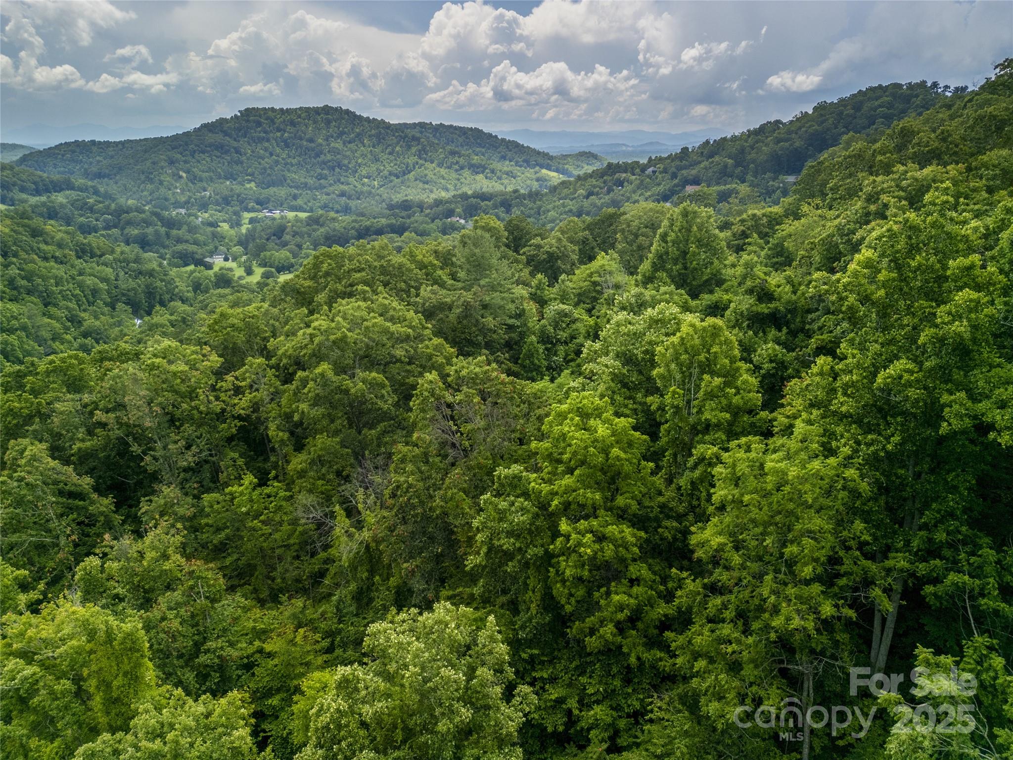 364 Chisel Rock Way Weaverville NC 28787