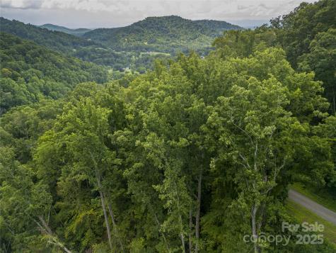 364 Chisel Rock Way Weaverville NC 28787