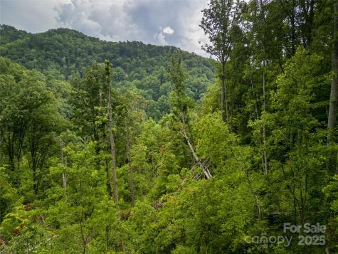 364 Chisel Rock Way Weaverville NC 28787