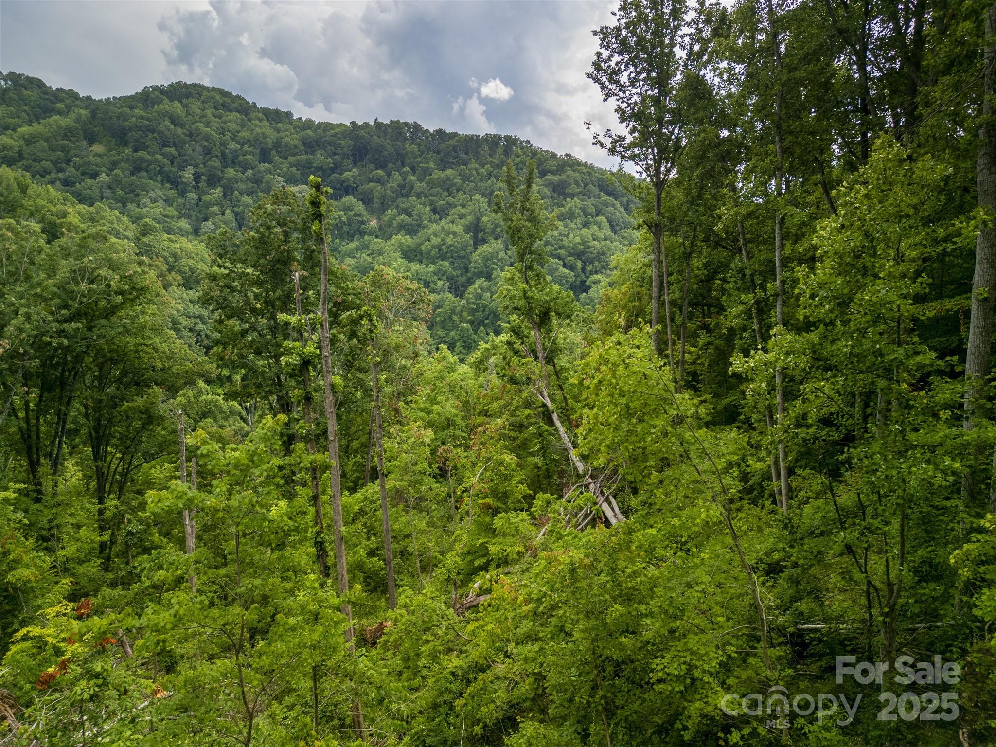 364 Chisel Rock Way Weaverville NC 28787