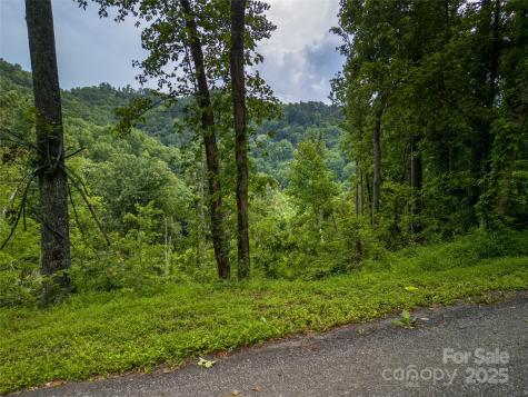 364 Chisel Rock Way Weaverville NC 28787