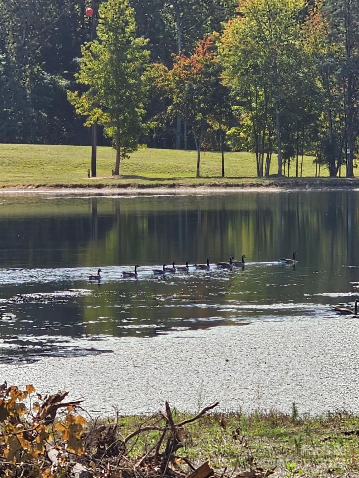 210 Fancy Lady Street York SC 29745