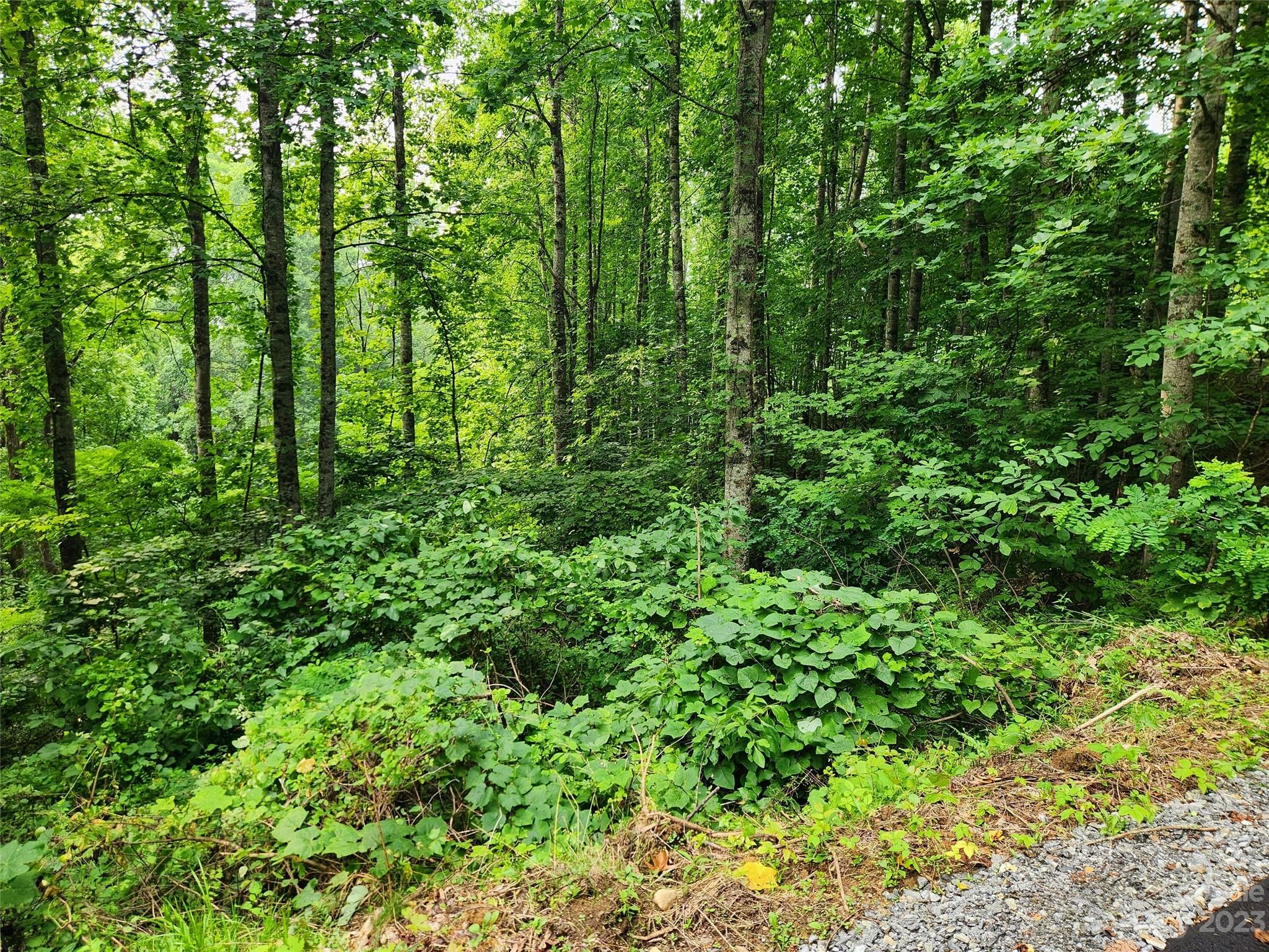 00 Havenwood Drive Maggie Valley NC 28751