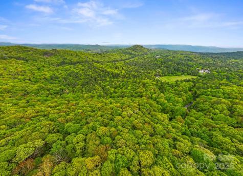 Tbd Hickory Shaft Drive Sapphire NC 28772