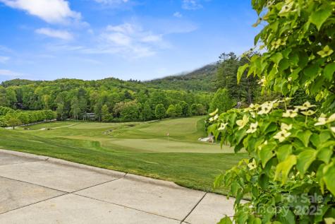 Tbd Hickory Shaft Drive Sapphire NC 28772