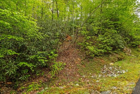 Tbd Hickory Shaft Drive Sapphire NC 28772