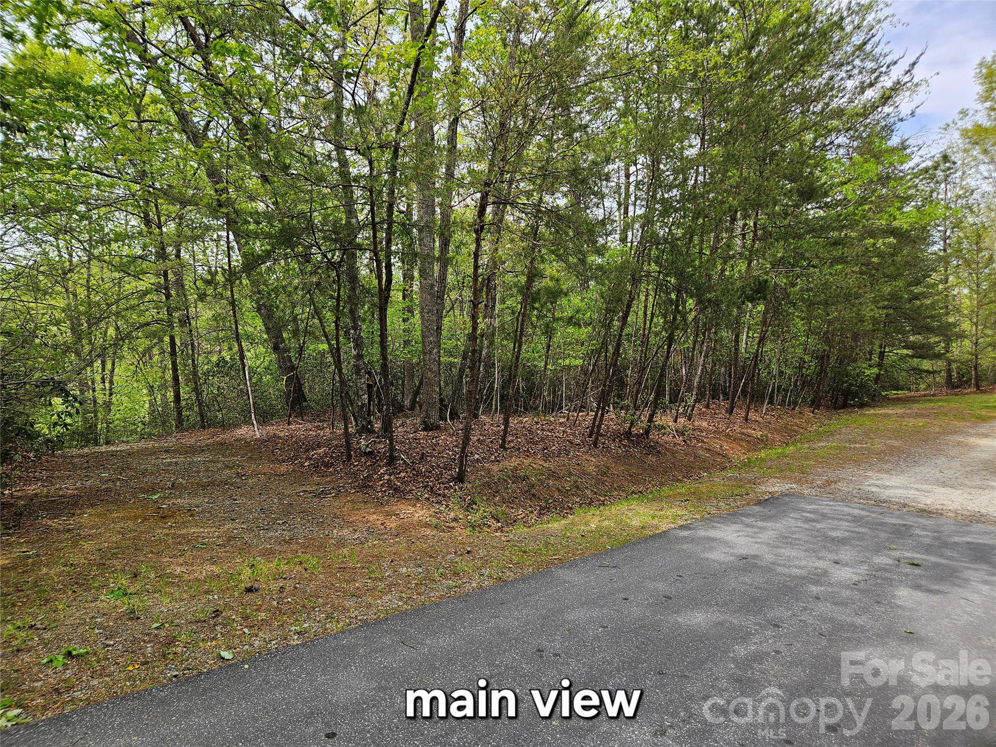 81 N Mill Ridge Road Nebo NC 28761