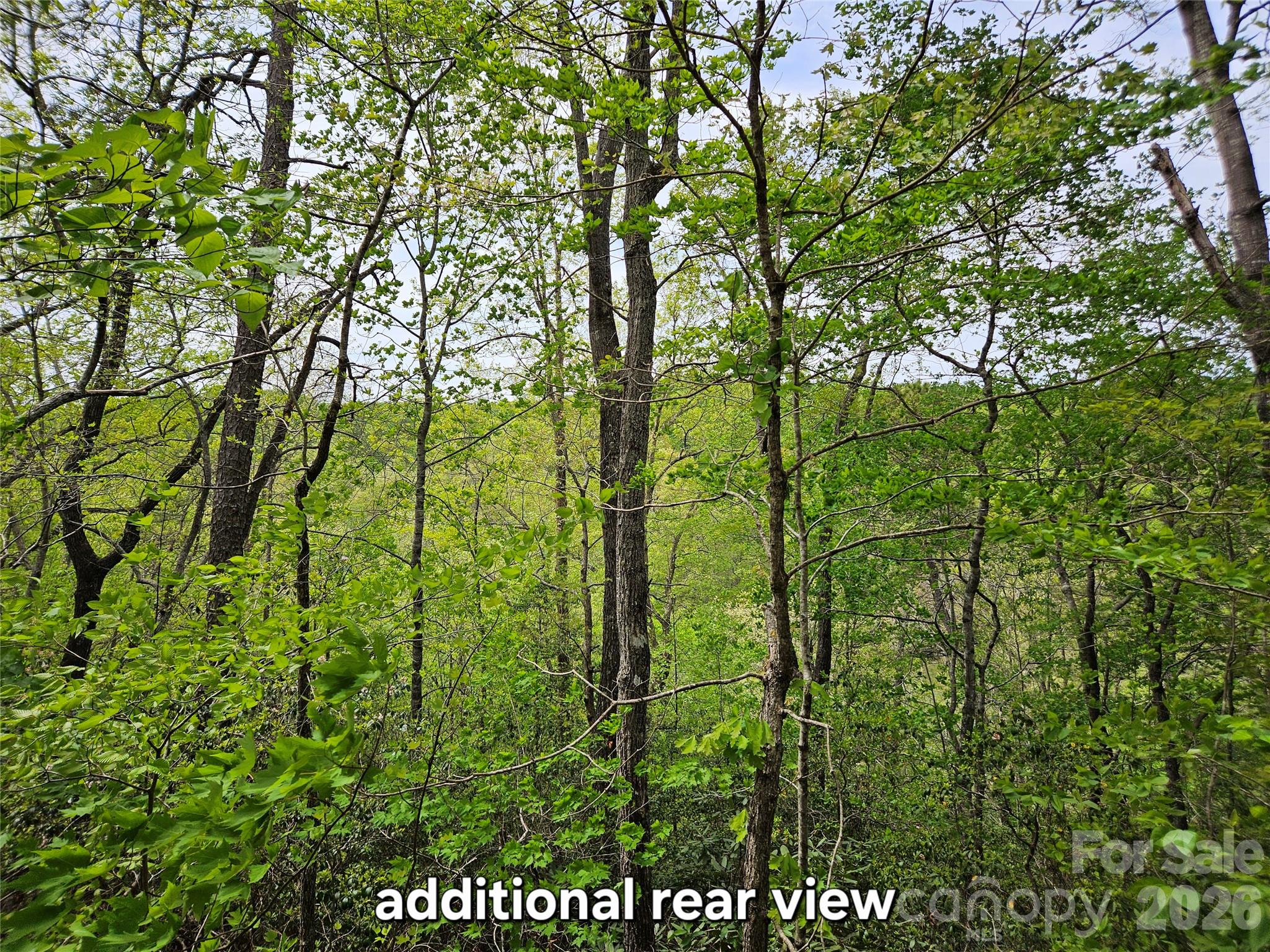 81 N Mill Ridge Road Nebo NC 28761