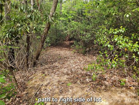 81 N Mill Ridge Road Nebo NC 28761