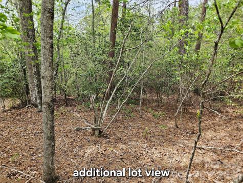 81 N Mill Ridge Road Nebo NC 28761