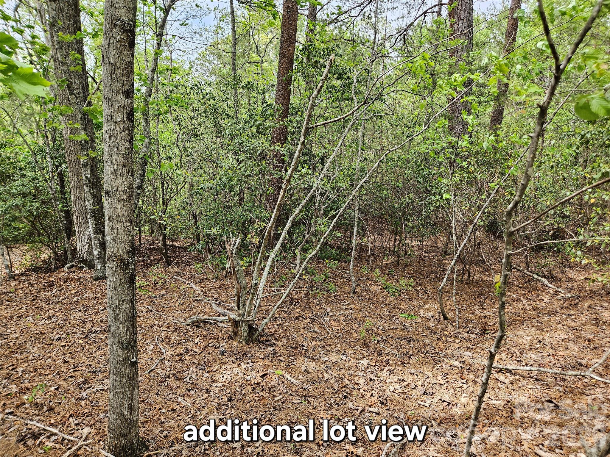 81 N Mill Ridge Road Nebo NC 28761