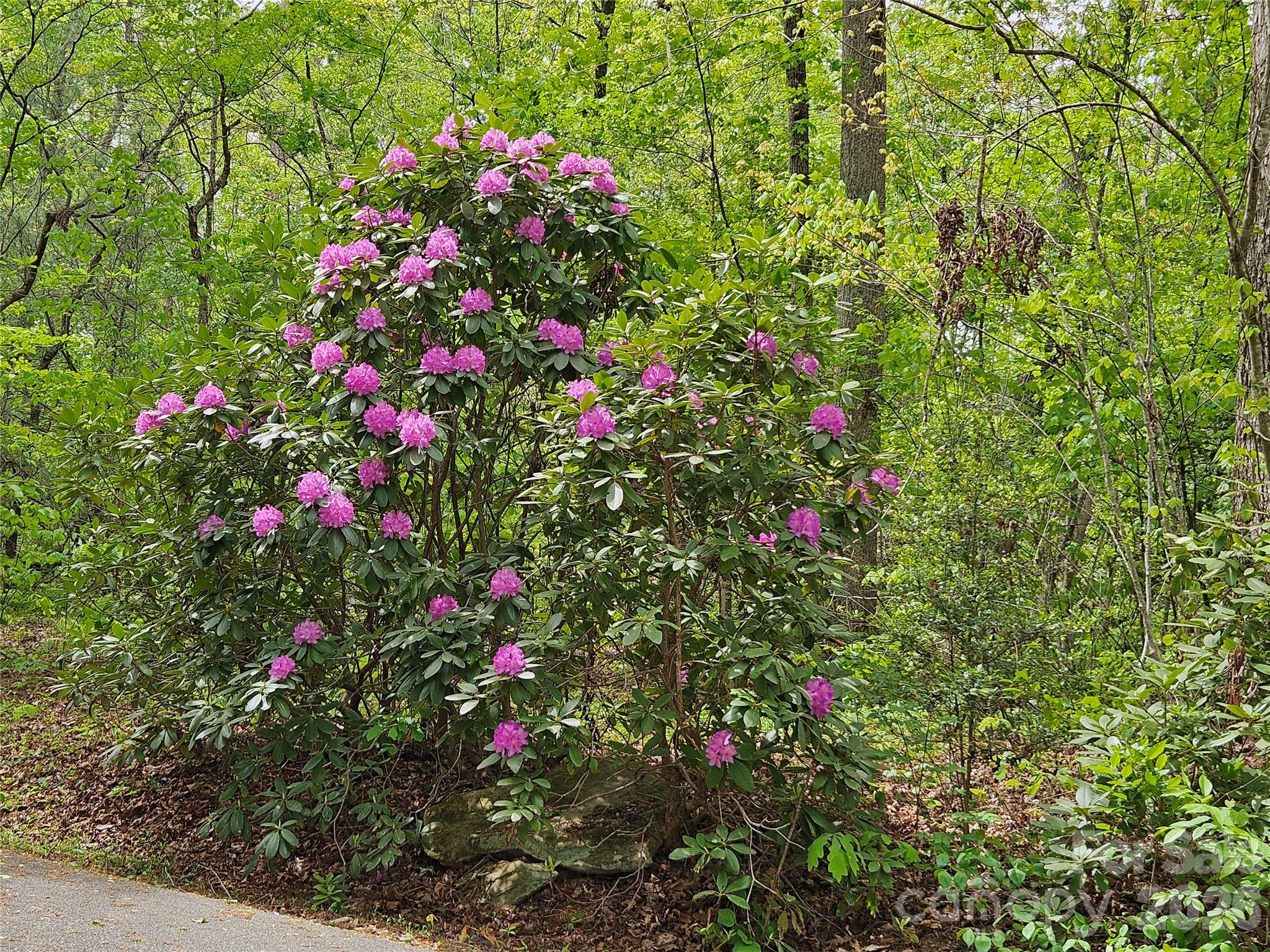 81 N Mill Ridge Road Nebo NC 28761