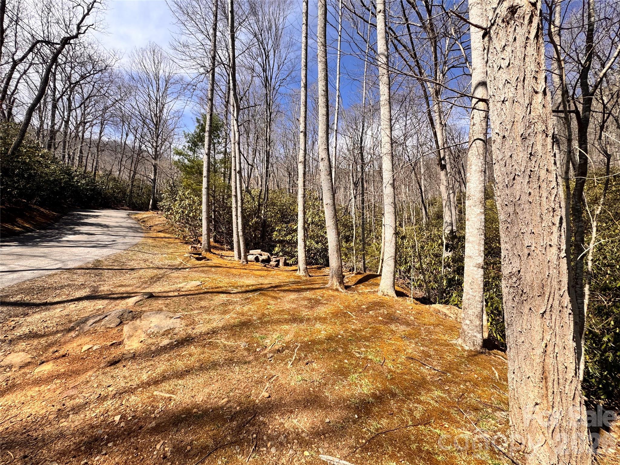 212 Harmony Lane Montreat NC 28757