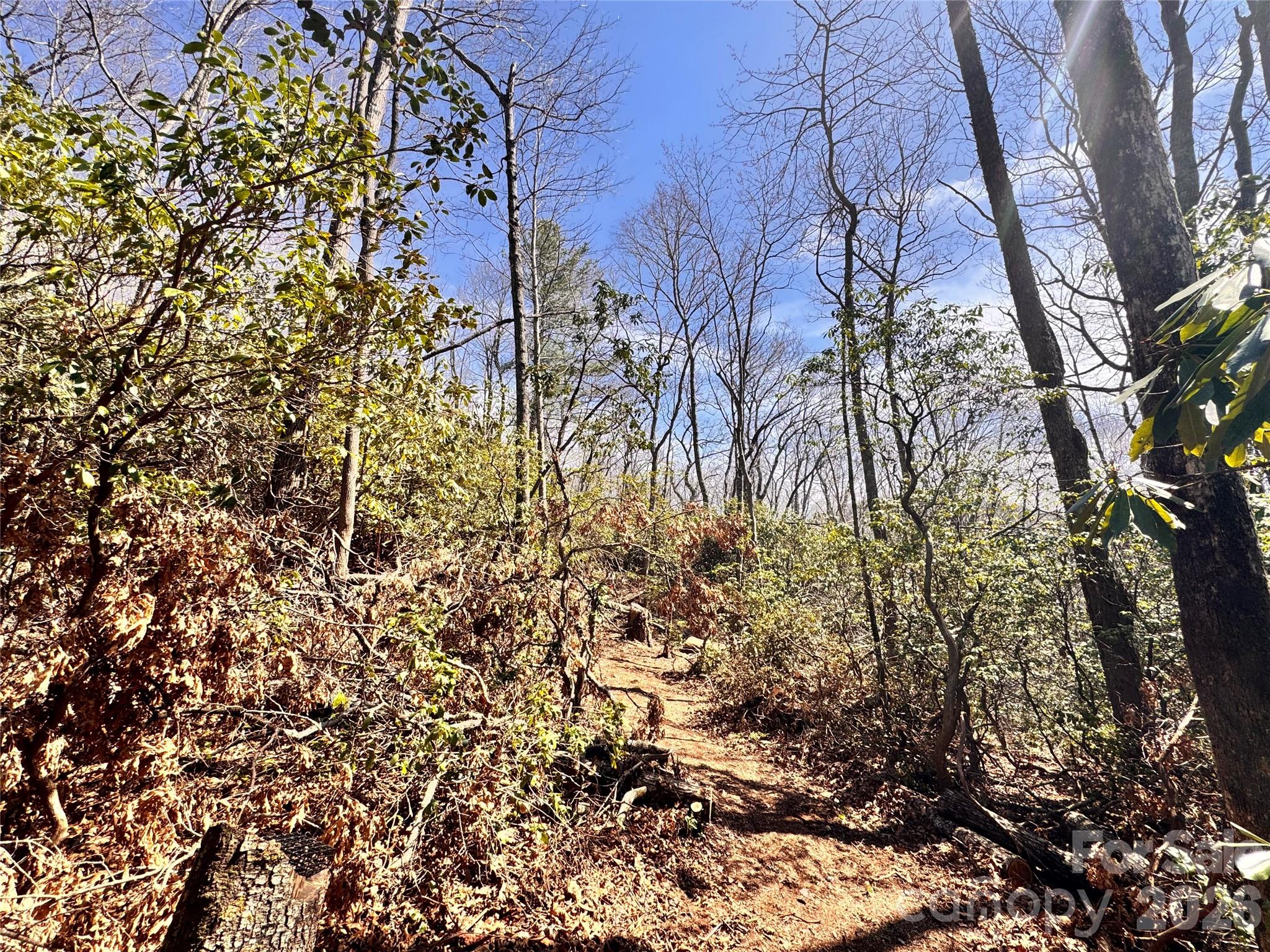 212 Harmony Lane Montreat NC 28757