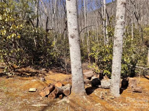 212 Harmony Lane Montreat NC 28757