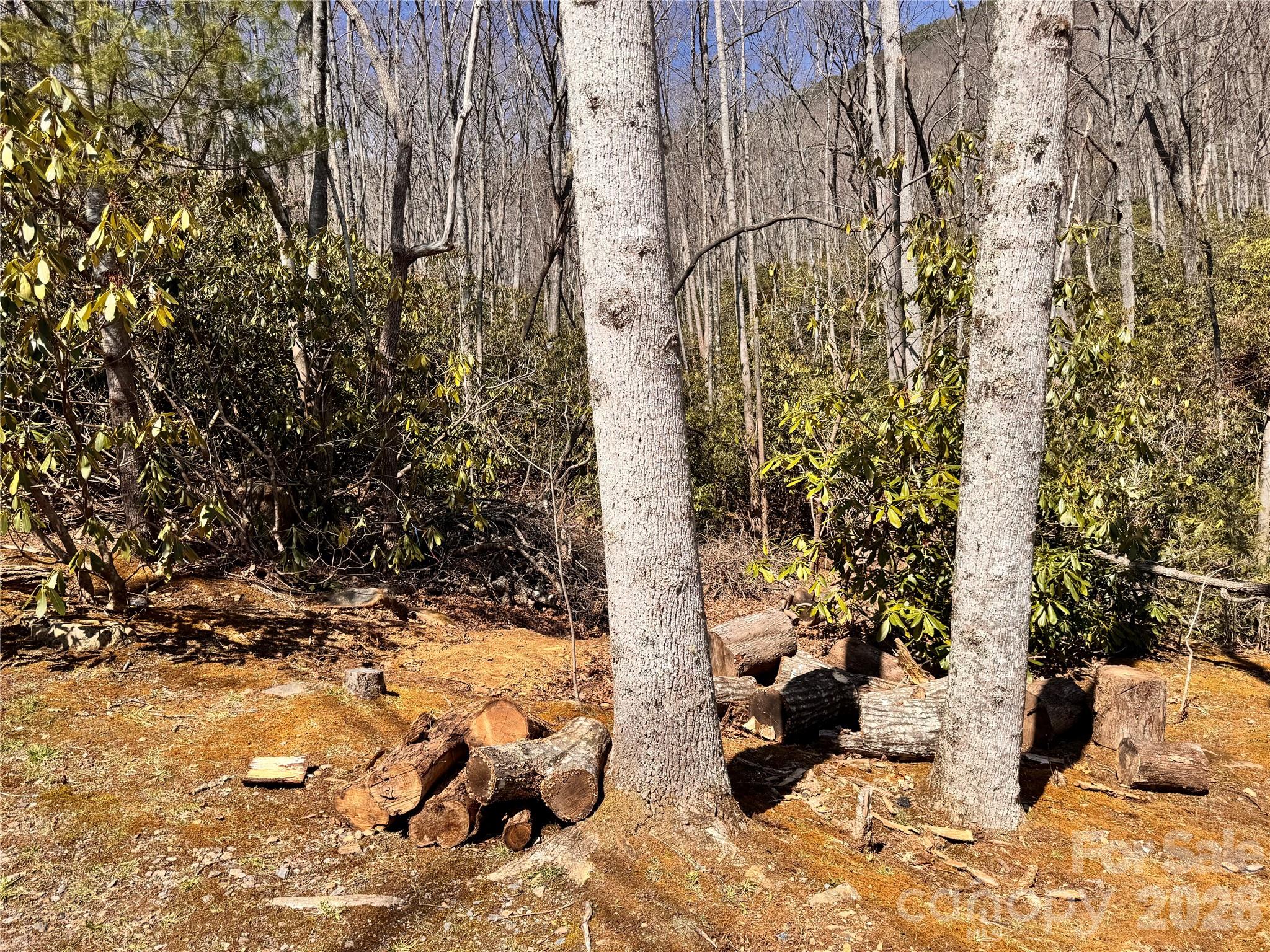 212 Harmony Lane Montreat NC 28757