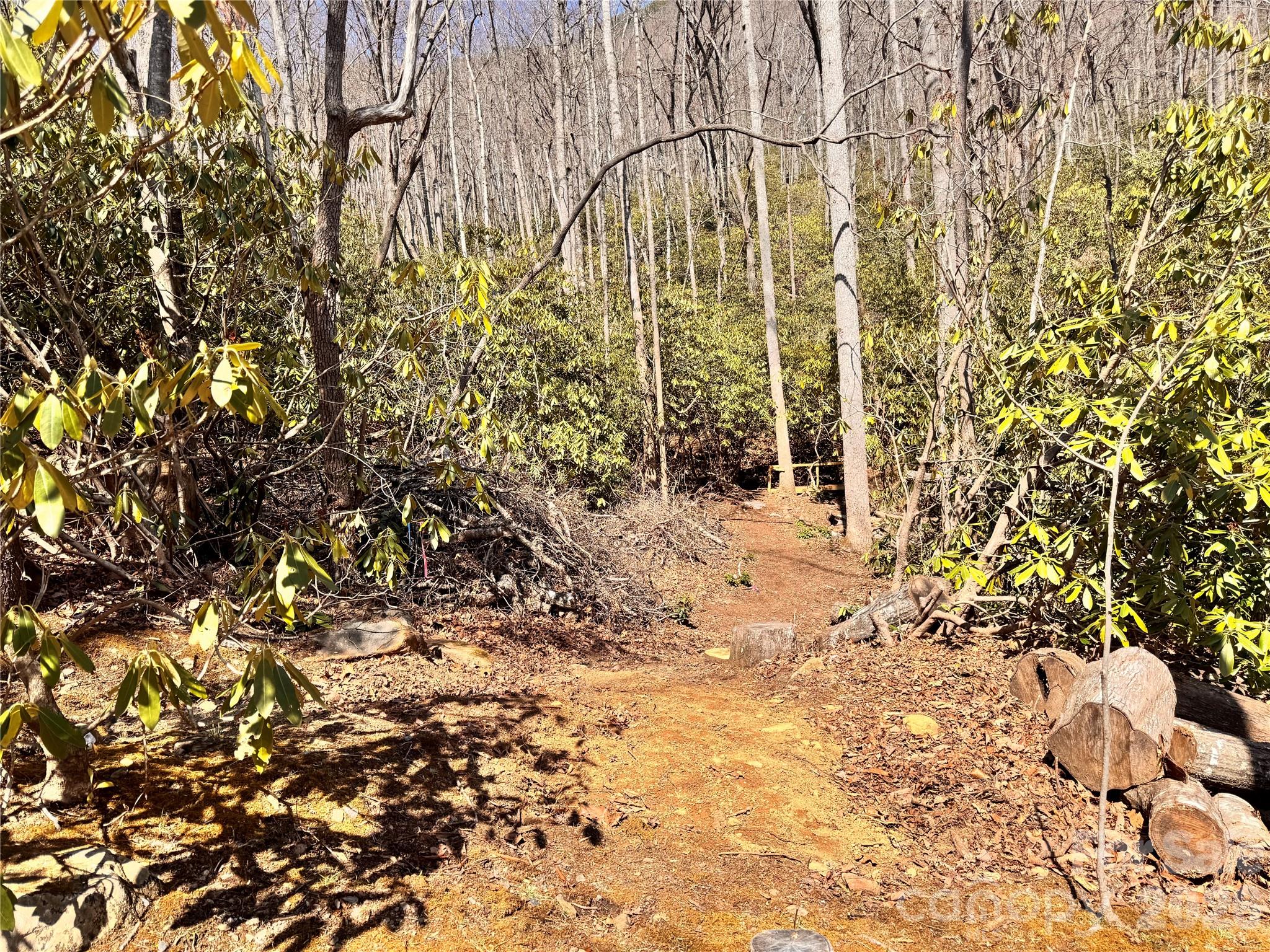 212 Harmony Lane Montreat NC 28757