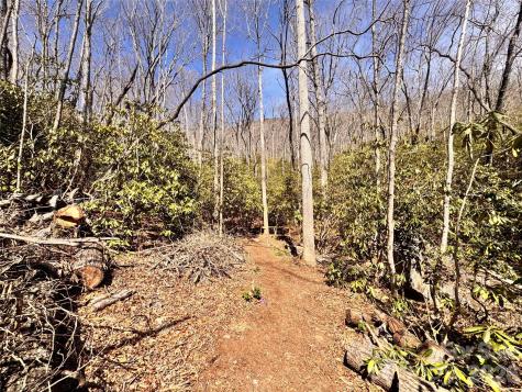 212 Harmony Lane Montreat NC 28757