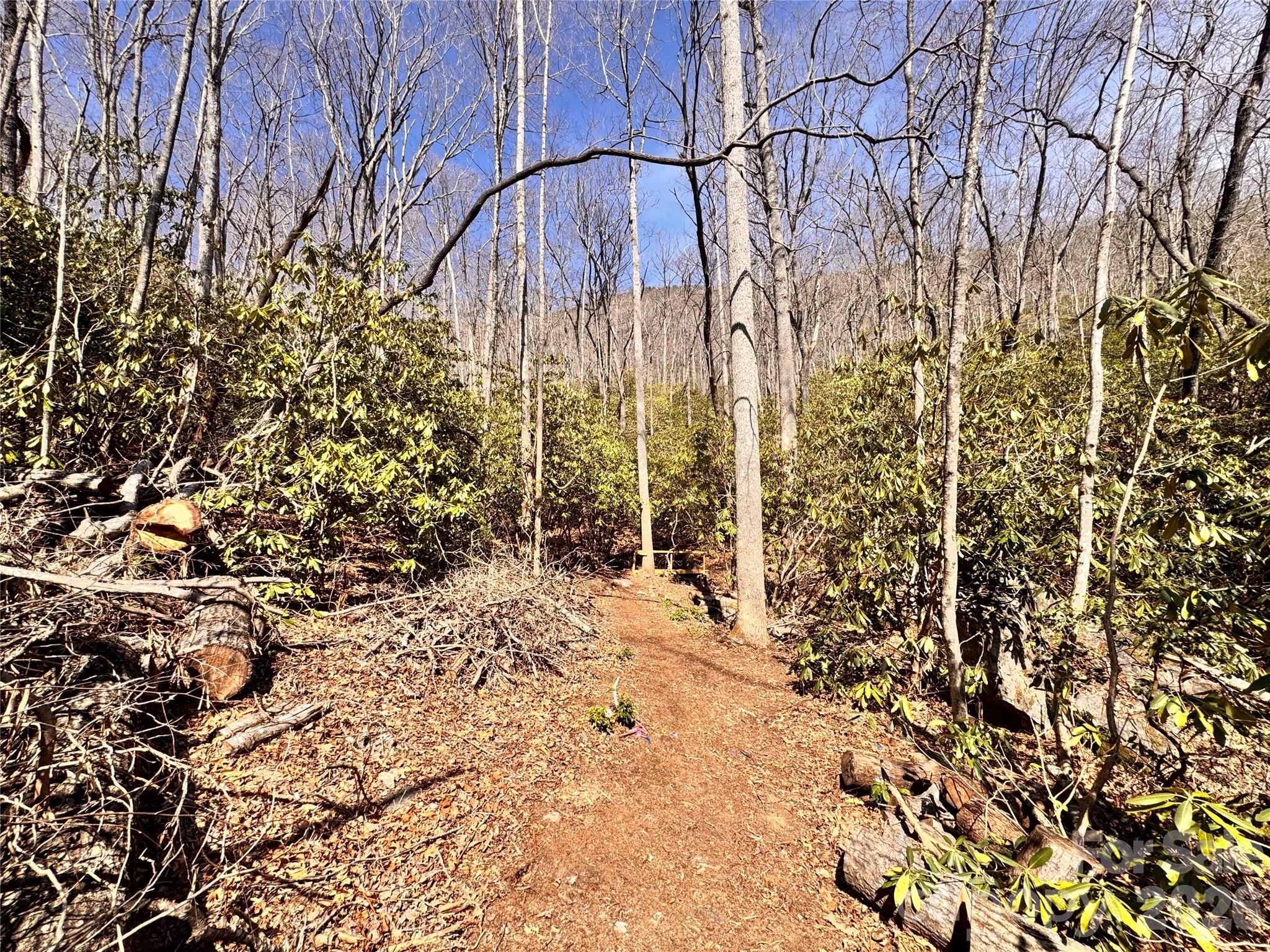 212 Harmony Lane Montreat NC 28757