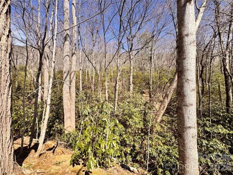 212 Harmony Lane Montreat NC 28757