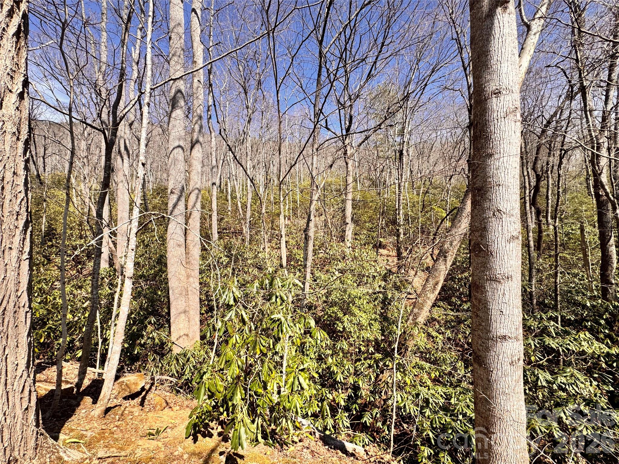 212 Harmony Lane Montreat NC 28757