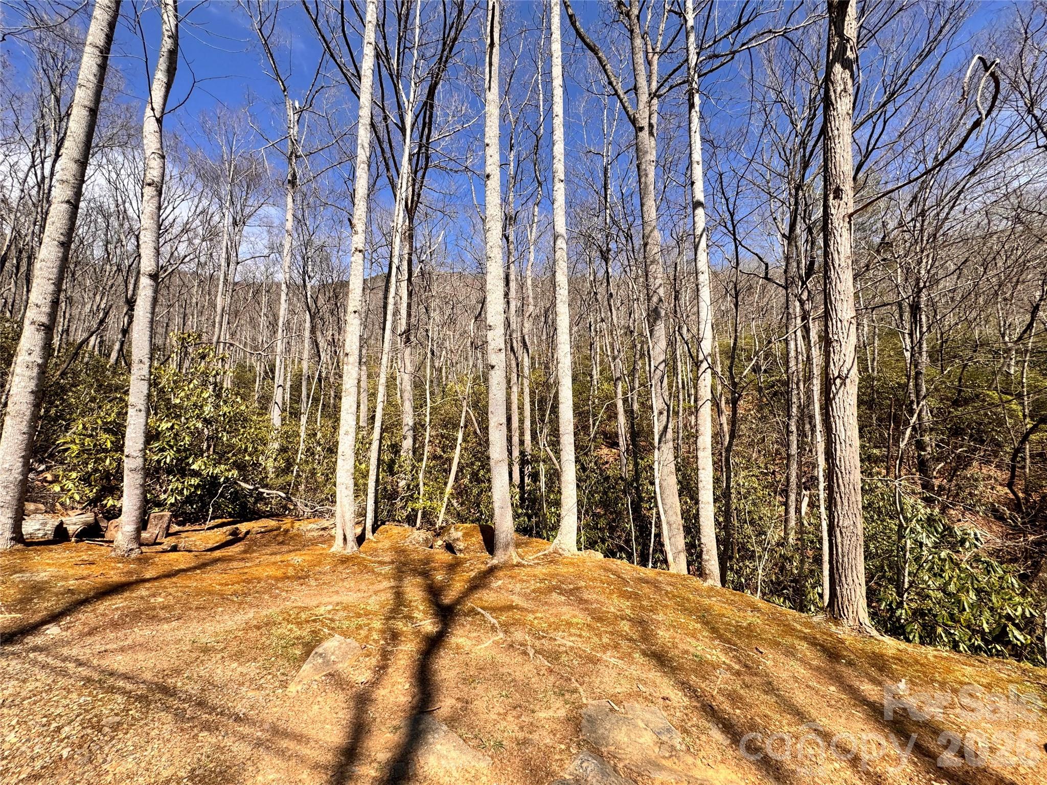212 Harmony Lane Montreat NC 28757