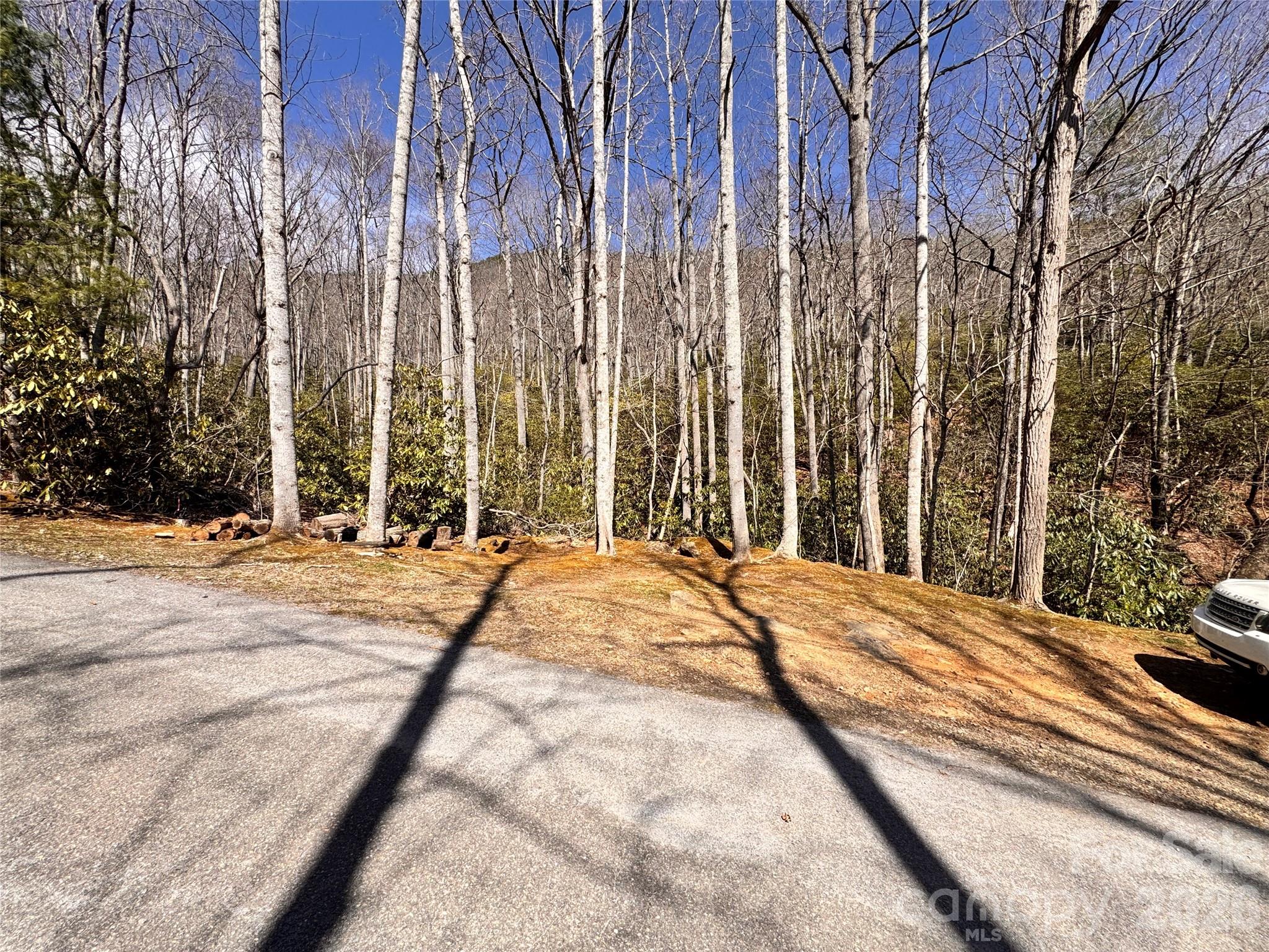 212 Harmony Lane Montreat NC 28757