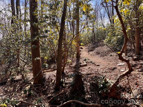 212 Harmony Lane Montreat NC 28757