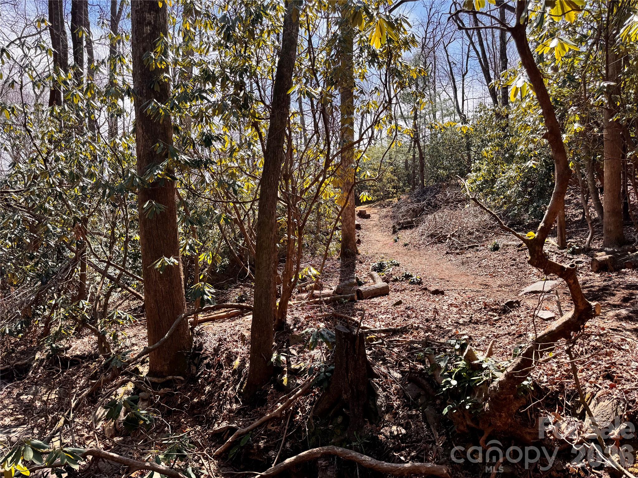 212 Harmony Lane Montreat NC 28757