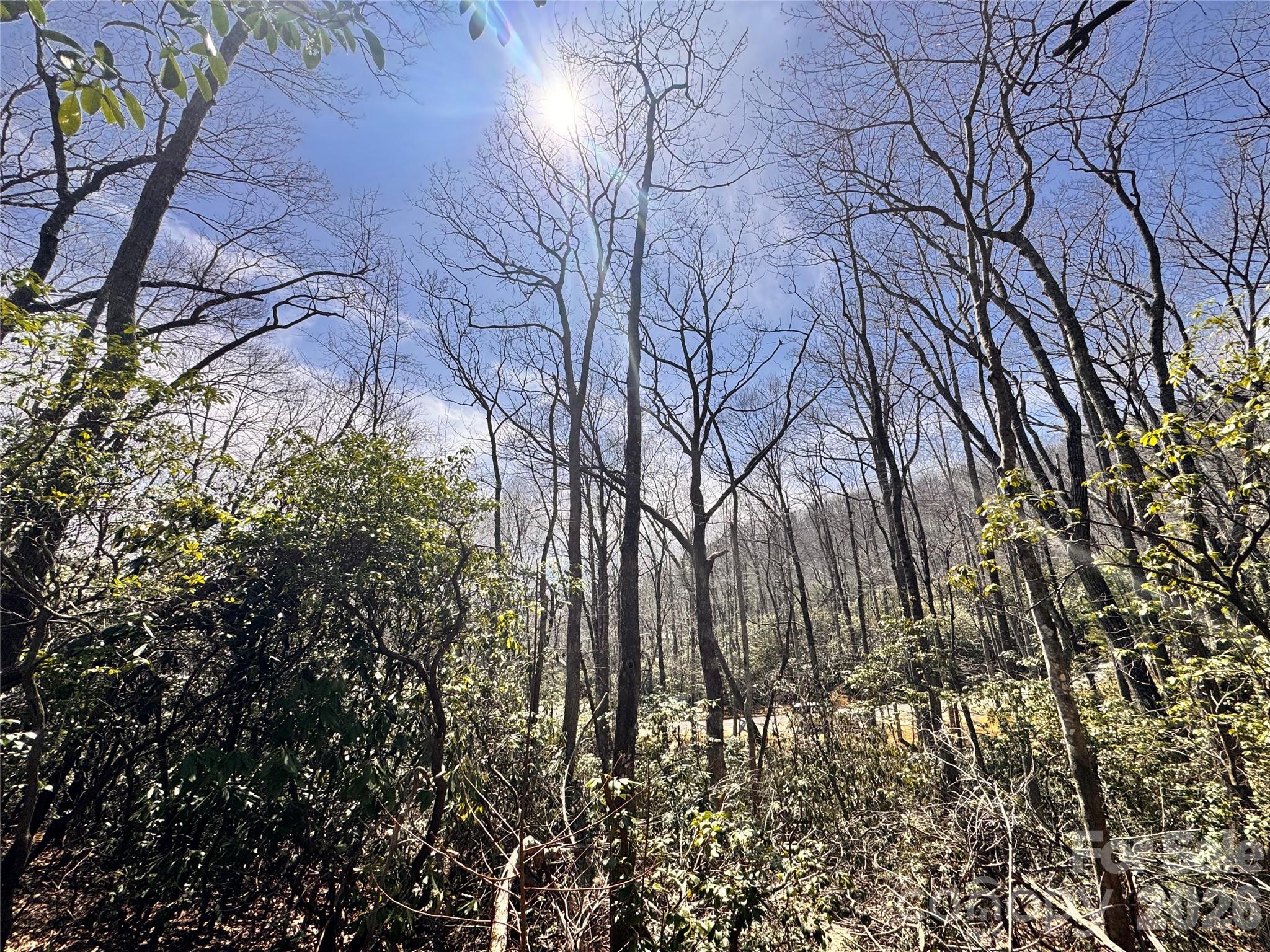 212 Harmony Lane Montreat NC 28757