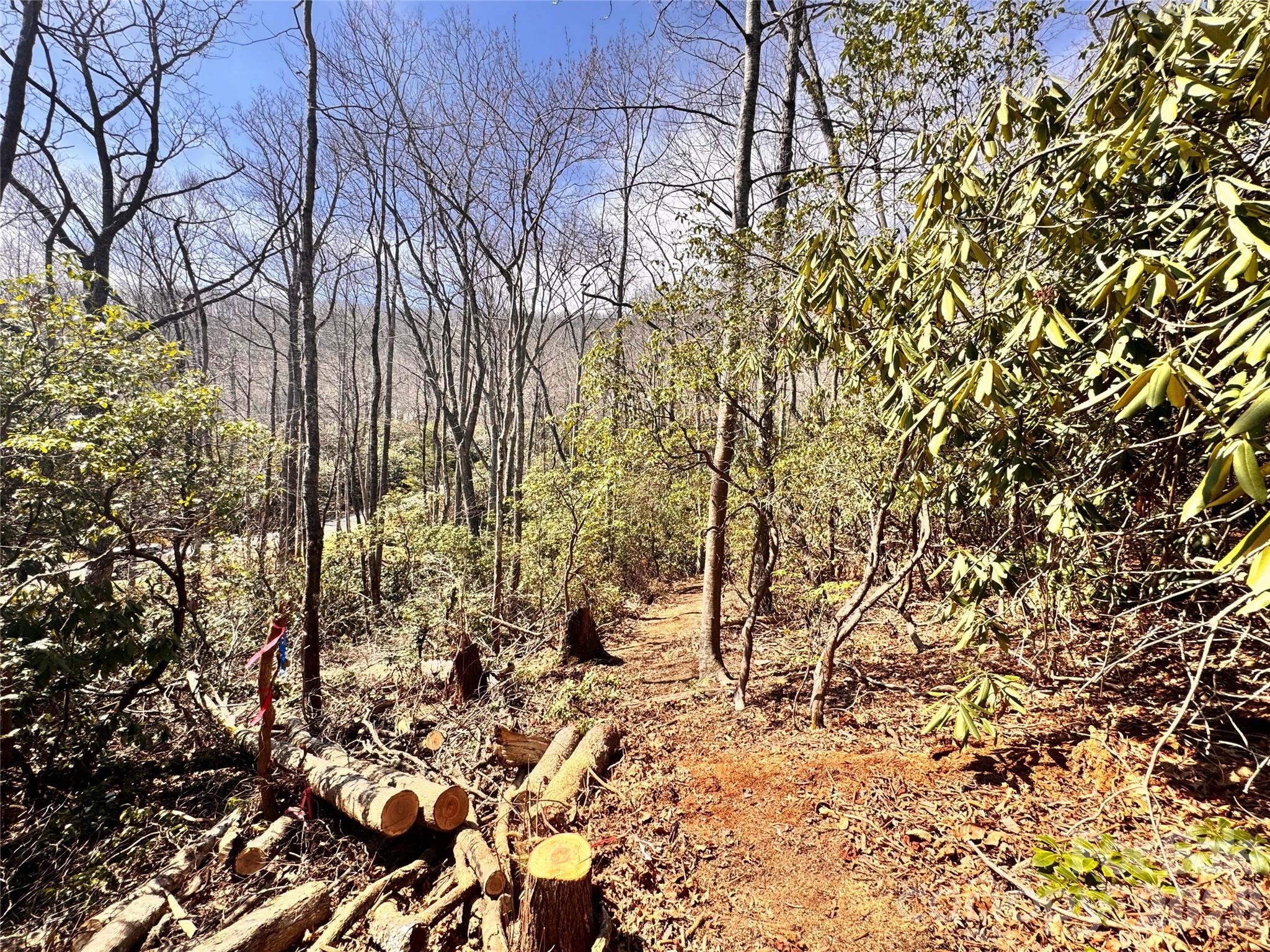 212 Harmony Lane Montreat NC 28757