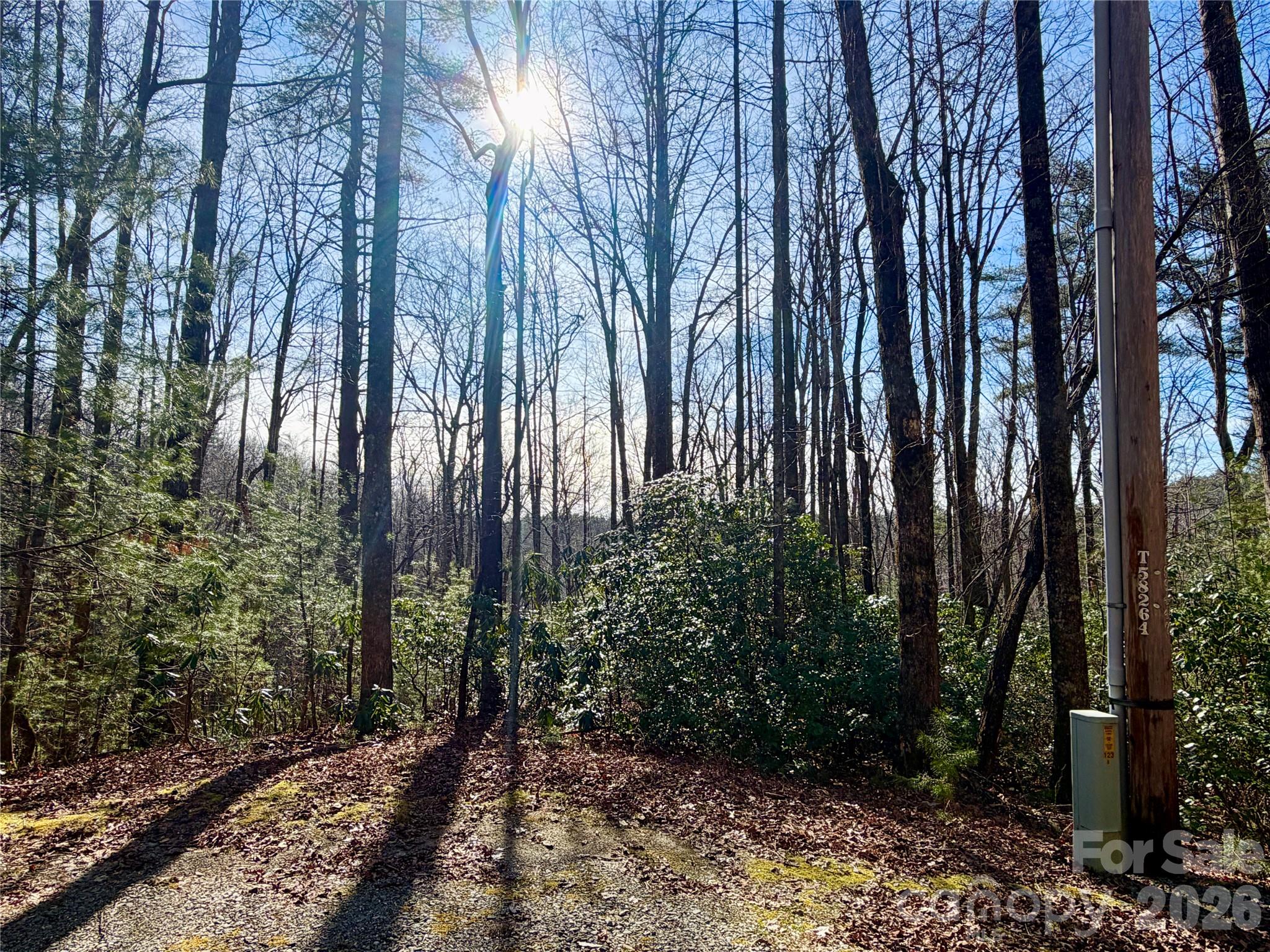 Lot 48 Fox Den Road Brevard NC 28712