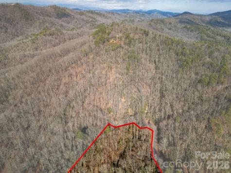 Lot 48 Fox Den Road Brevard NC 28712