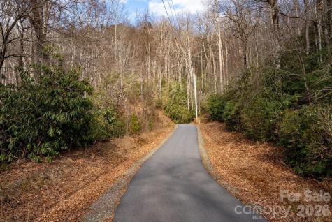 Lot 48 Fox Den Road Brevard NC 28712