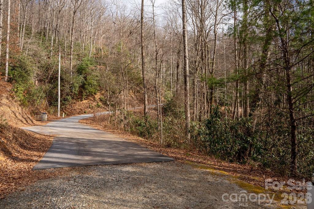 Lot 48 Fox Den Road Brevard NC 28712
