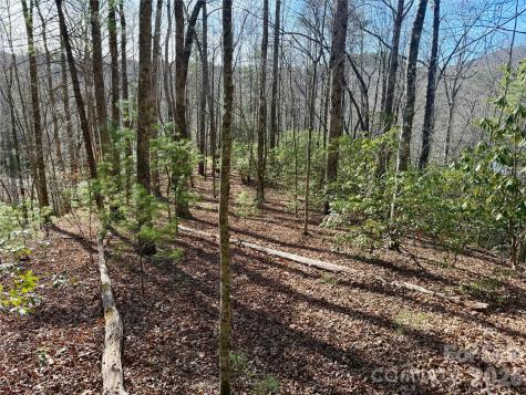Lot 48 Fox Den Road Brevard NC 28712