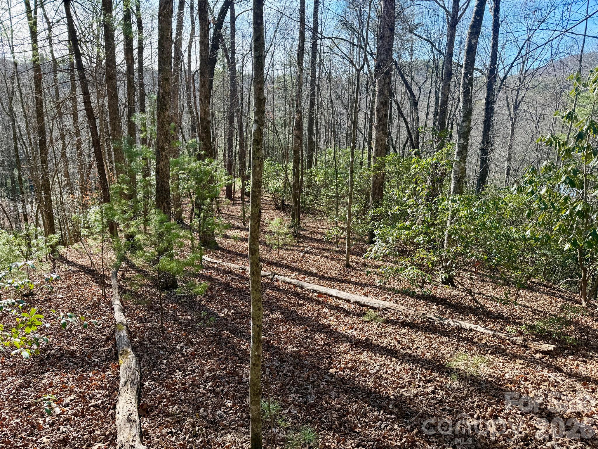 Lot 48 Fox Den Road Brevard NC 28712