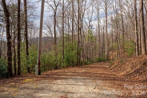 Lot 48 Fox Den Road Brevard NC 28712