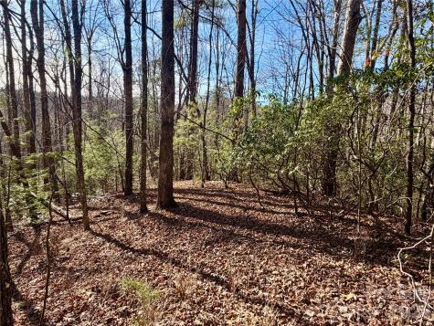Lot 48 Fox Den Road Brevard NC 28712