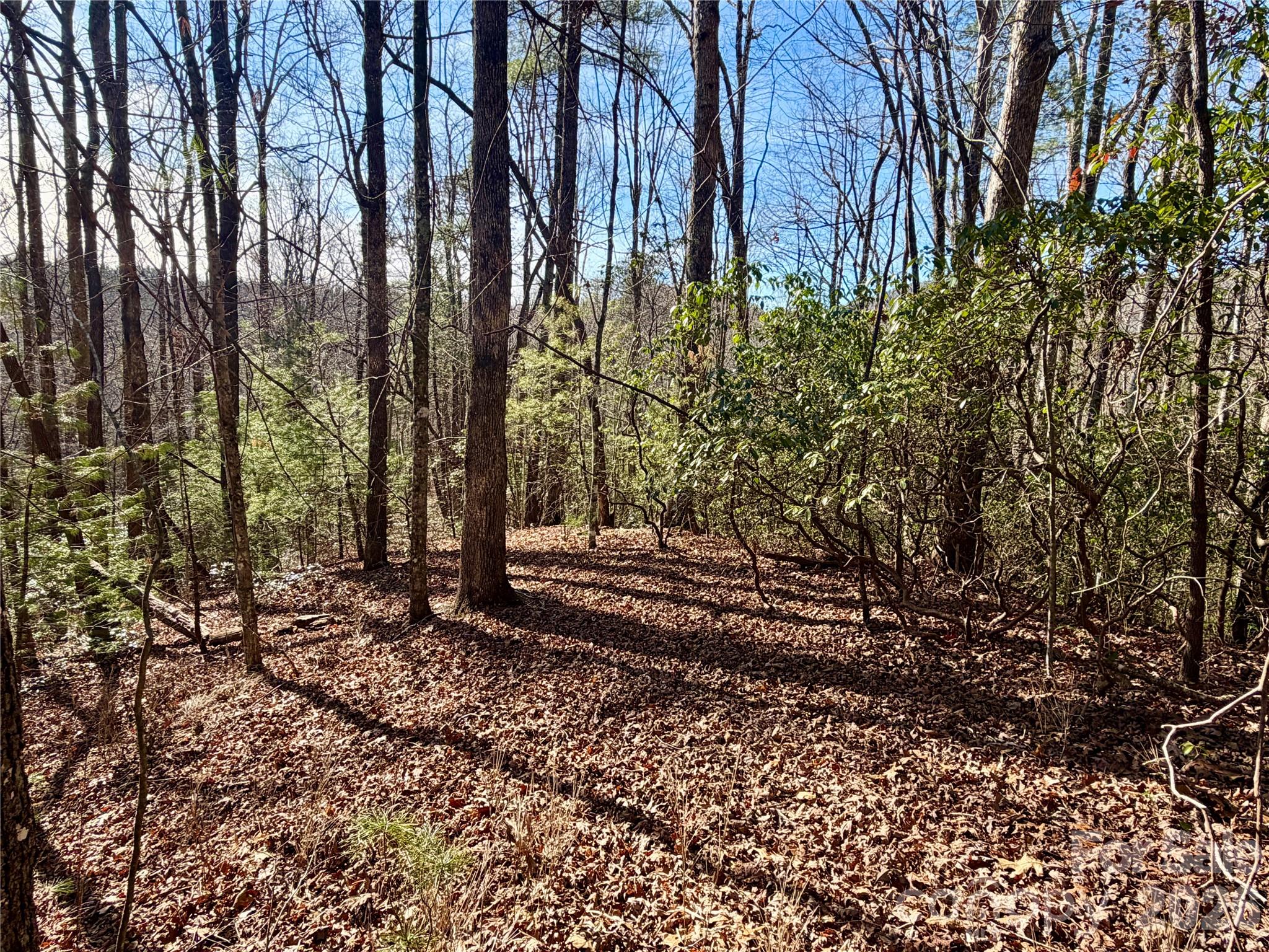 Lot 48 Fox Den Road Brevard NC 28712