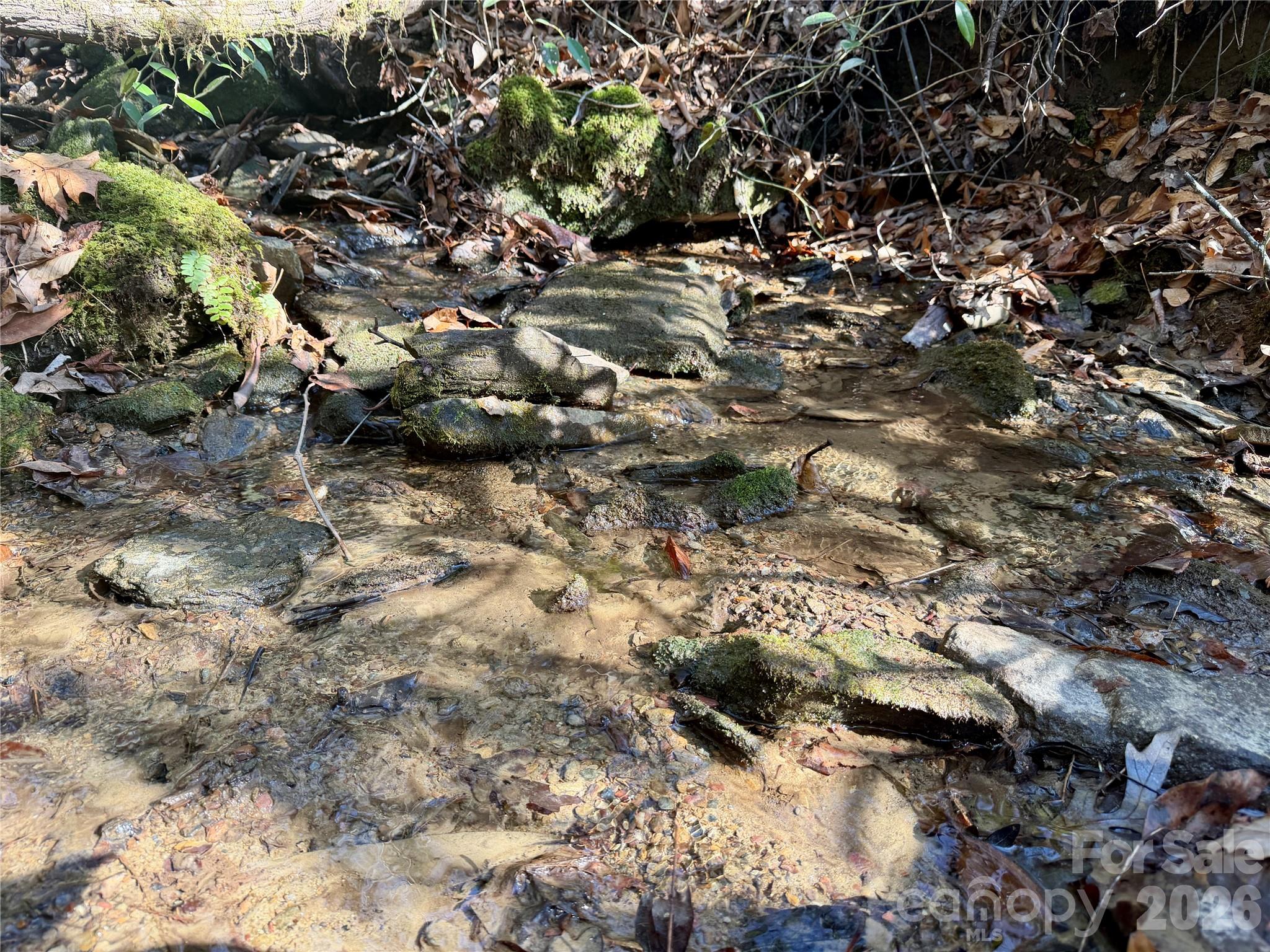 Lot 48 Fox Den Road Brevard NC 28712