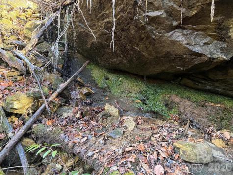 Lot 48 Fox Den Road Brevard NC 28712