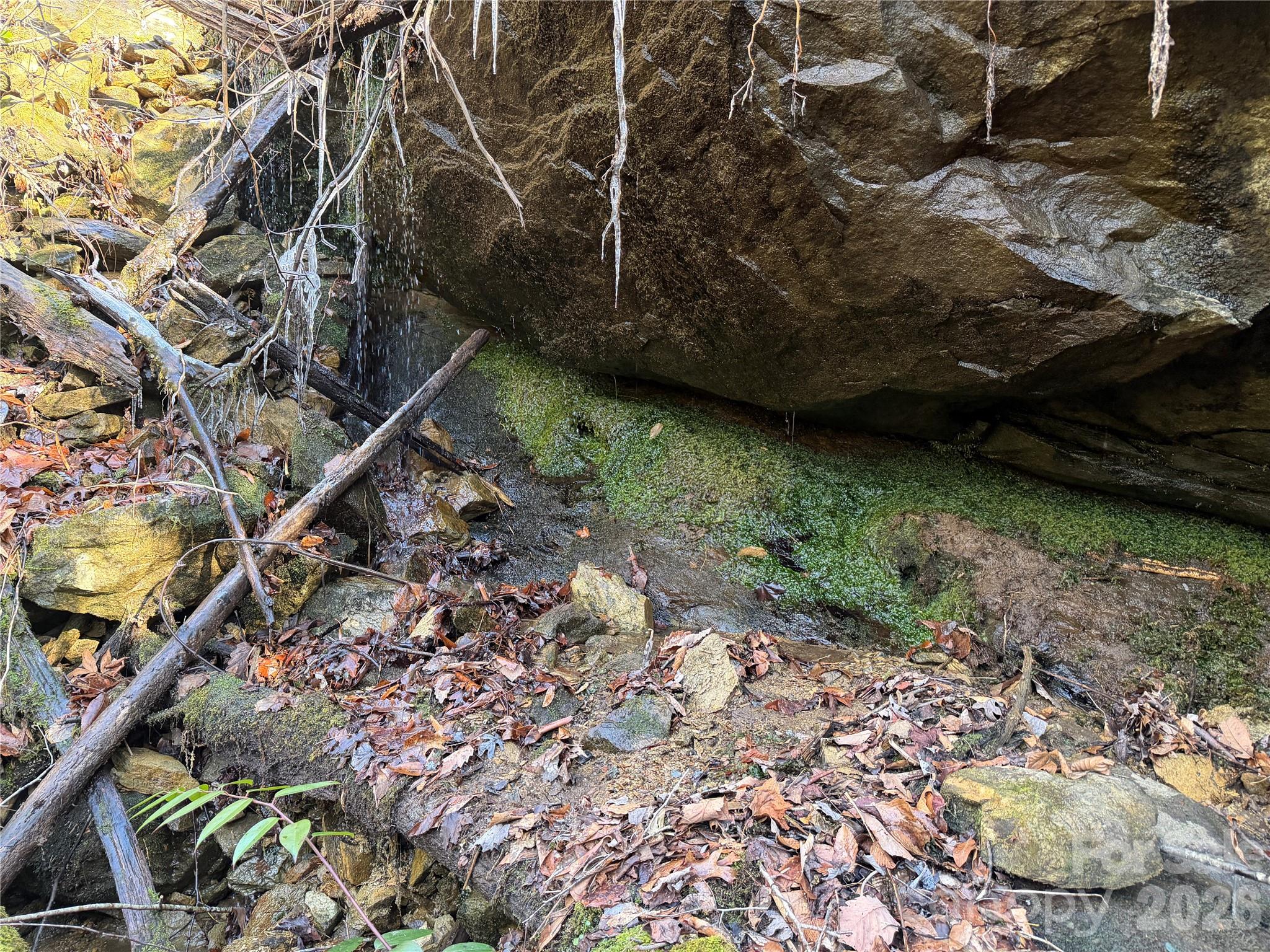 Lot 48 Fox Den Road Brevard NC 28712