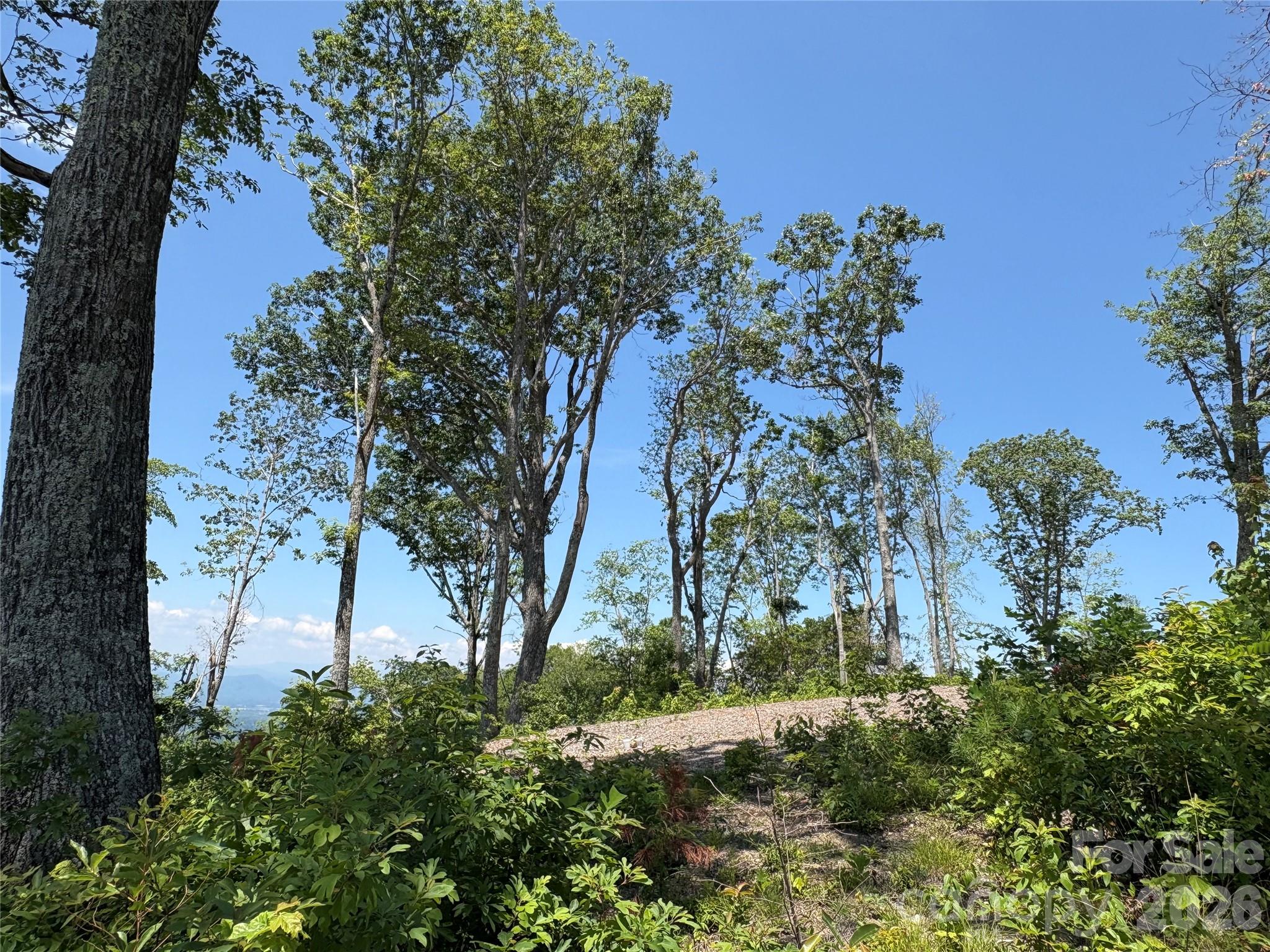 Lot 50 Mountain Grove Lane Fletcher NC 28732