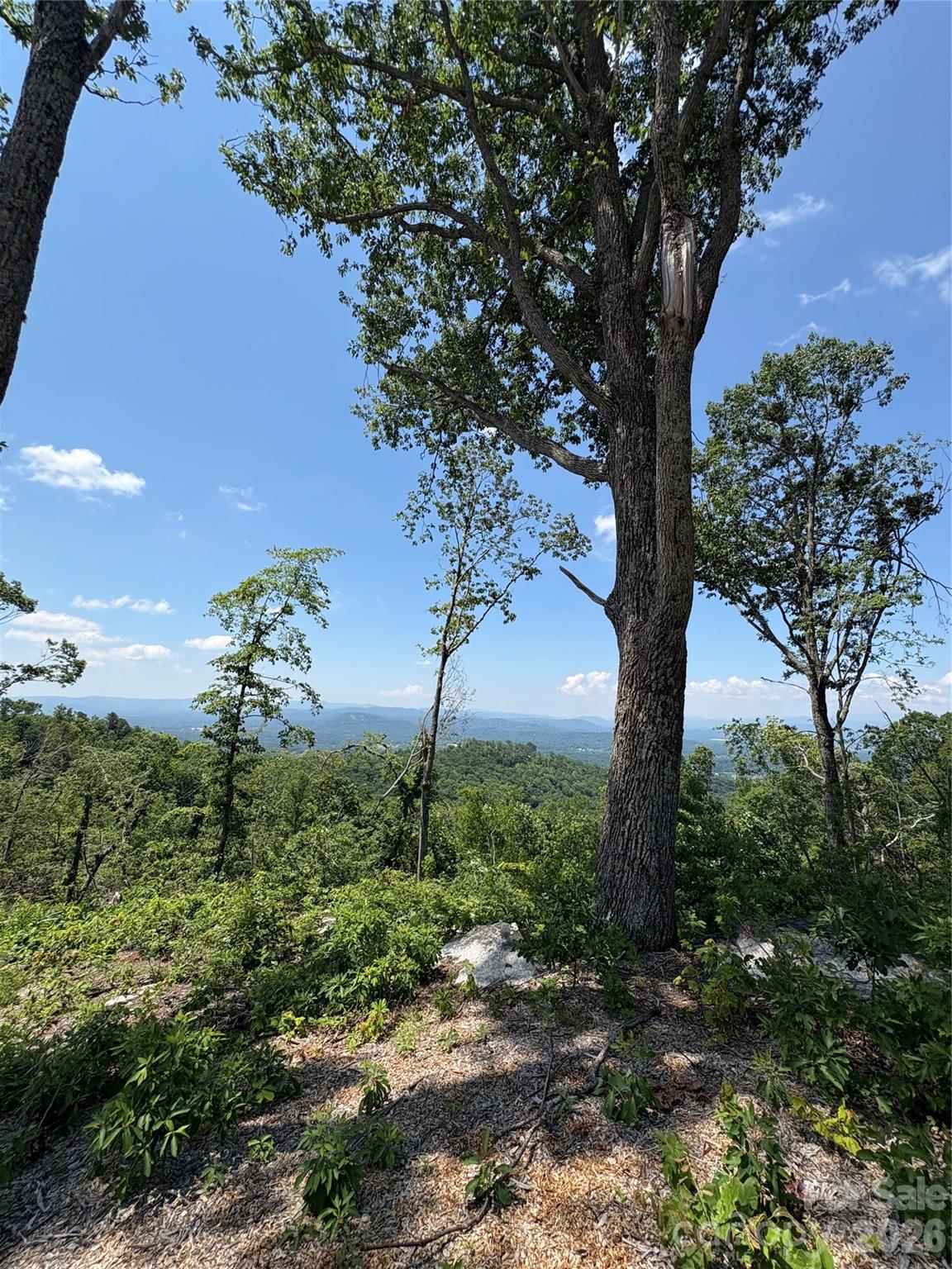 Lot 50 Mountain Grove Lane Fletcher NC 28732