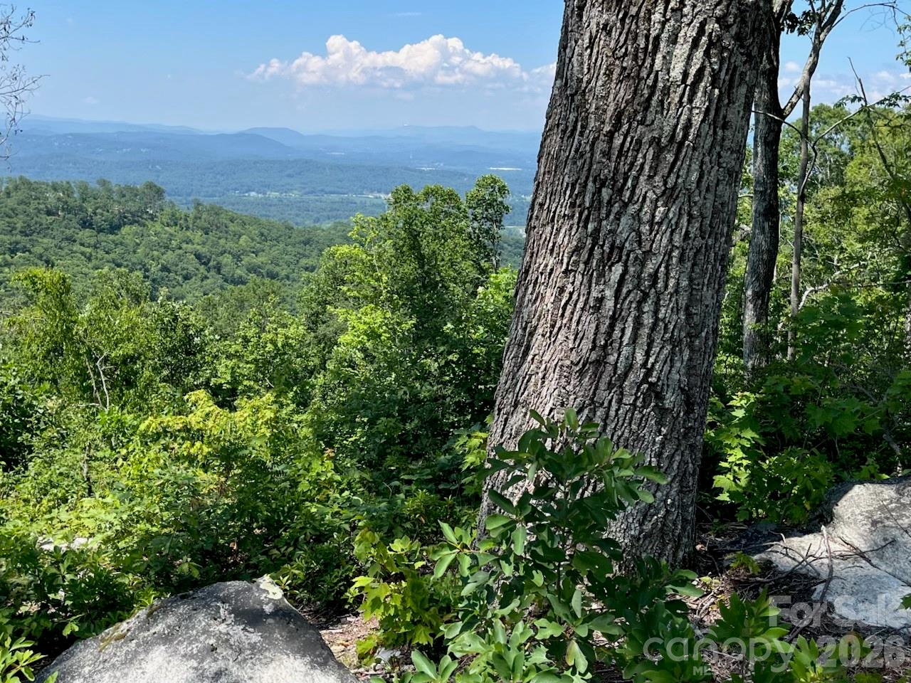 Lot 50 Mountain Grove Lane Fletcher NC 28732
