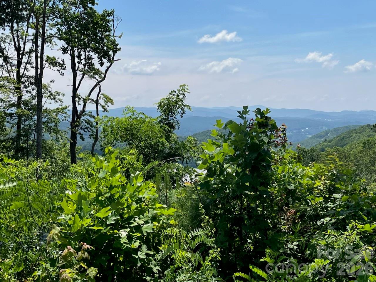 Lot 50 Mountain Grove Lane Fletcher NC 28732