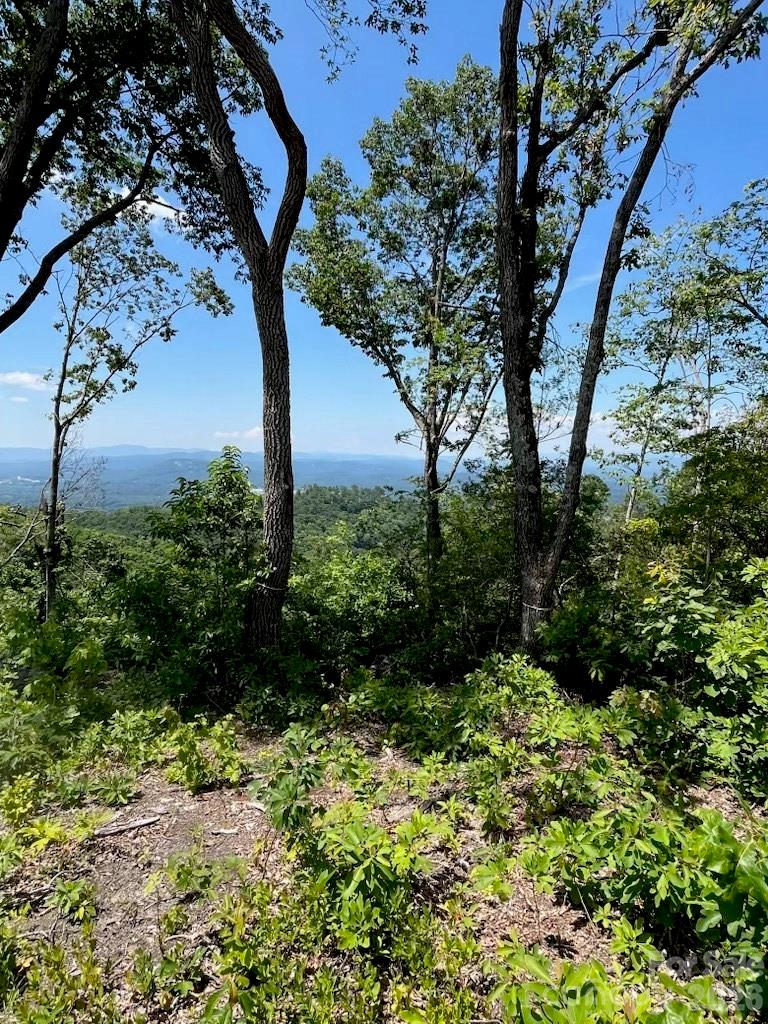 Lot 50 Mountain Grove Lane Fletcher NC 28732