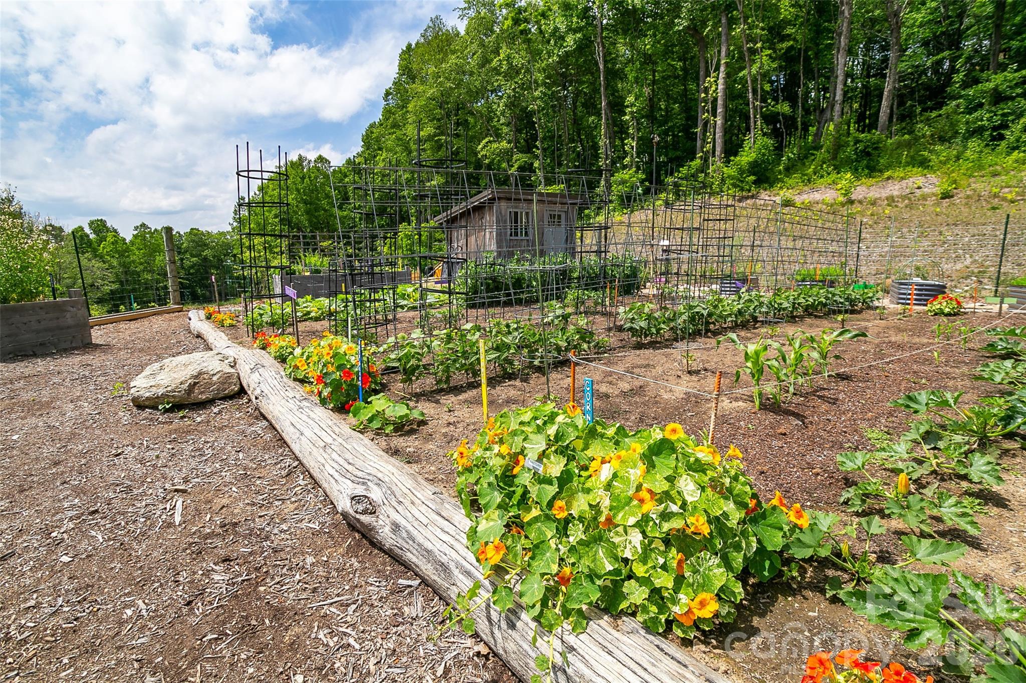 Lot 50 Mountain Grove Lane Fletcher NC 28732