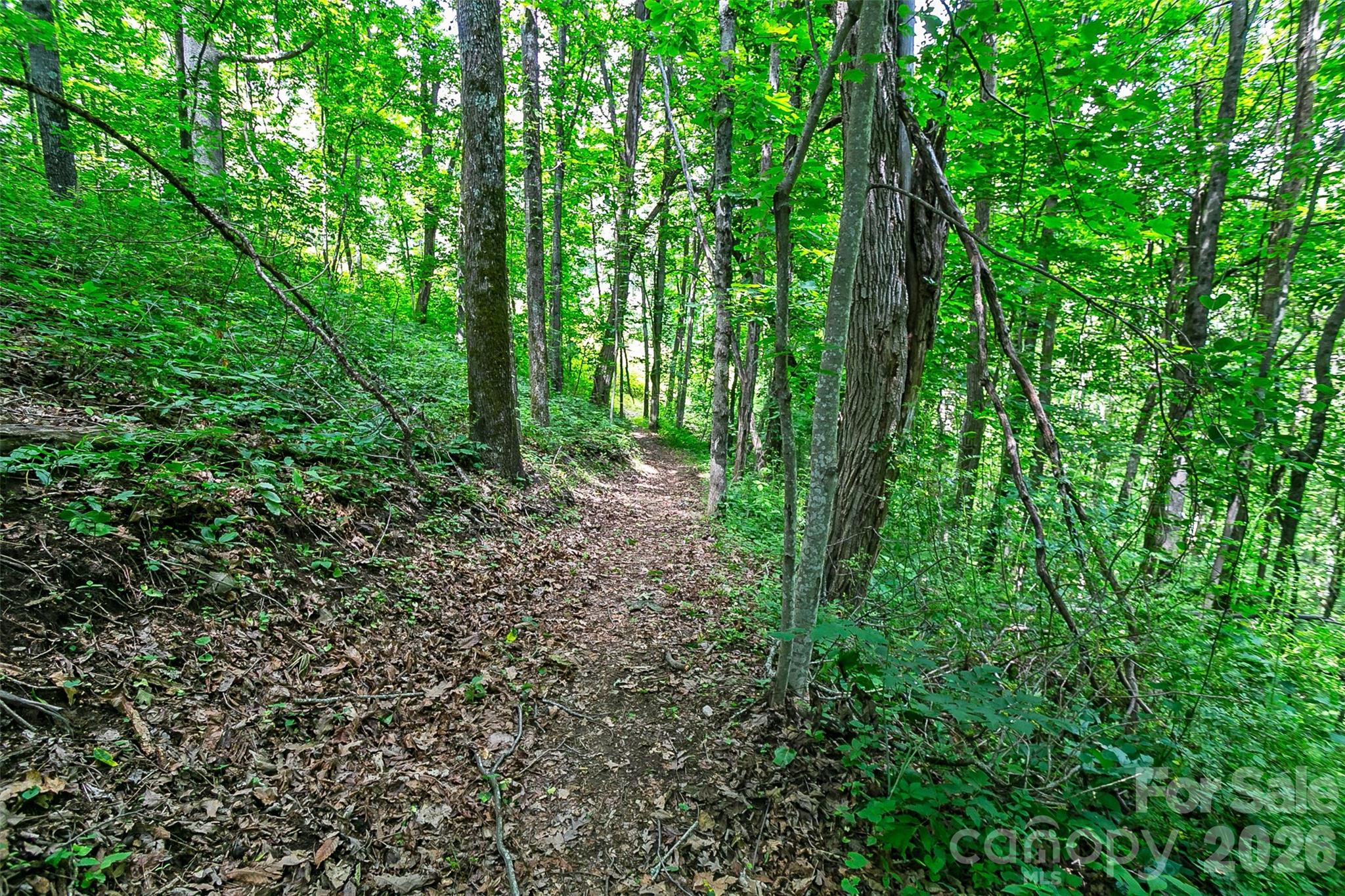 Lot 50 Mountain Grove Lane Fletcher NC 28732